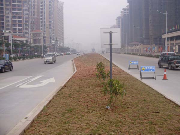 万搏网-万搏体育（中国）
坦洲界狮南路
