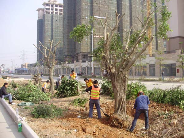 万搏网-万搏体育（中国）
坦洲界狮南路